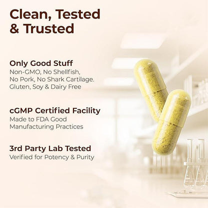 VICAFUCI Glucosamine, Chondroitin, Turmeric & MSM Complex – 90 Capsul - image 3