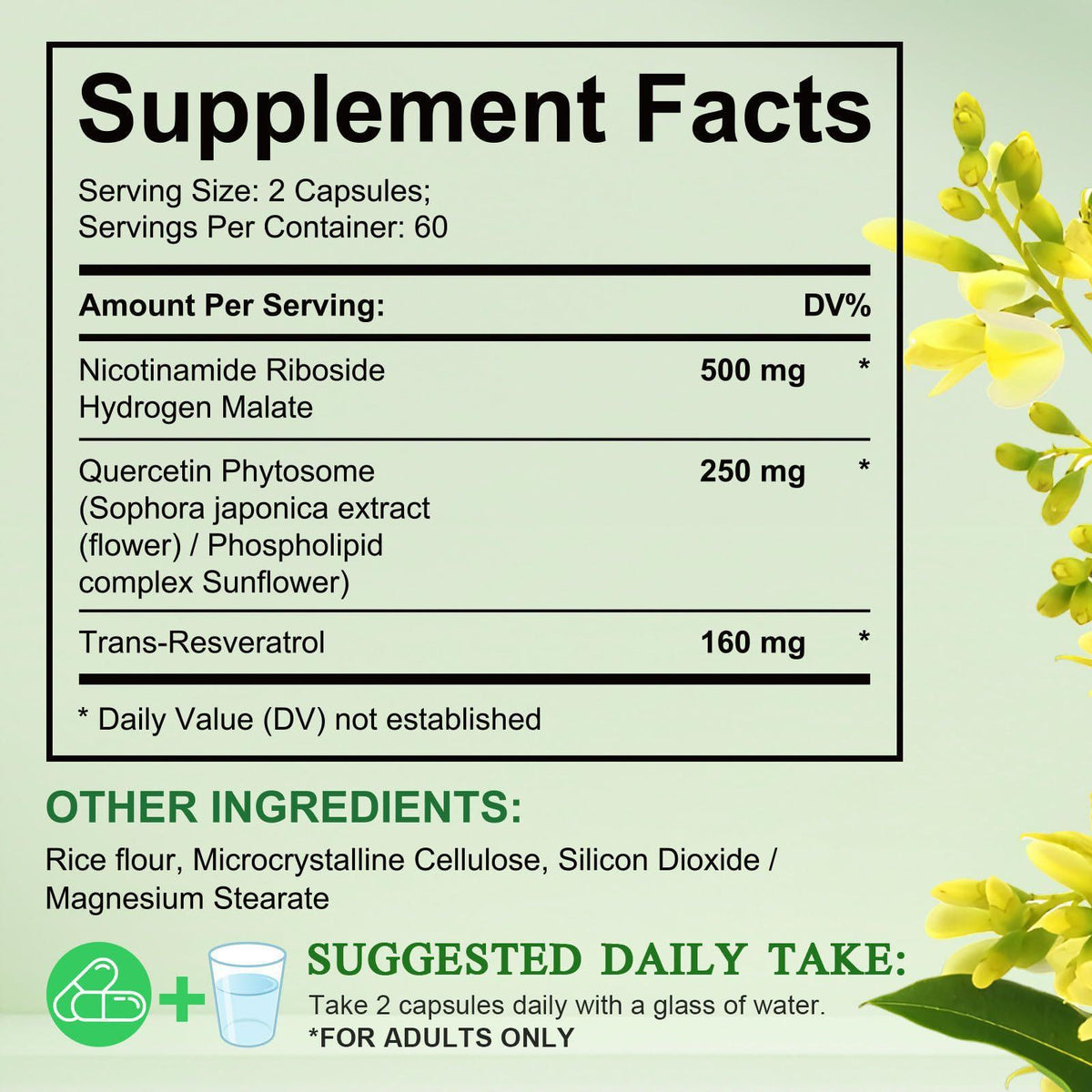 YiaknisUK Nicotinamide Riboside Complex with Quercetin & Resveratrol 1 - image 4
